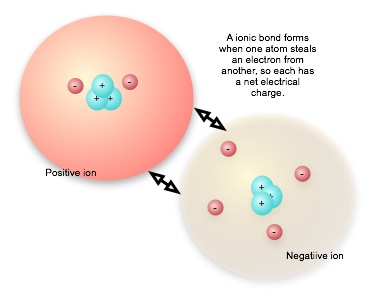 Net electrical force