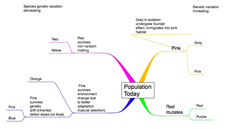 Population Change