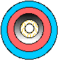 Pseudocoelom