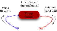 20_CircSysOpen