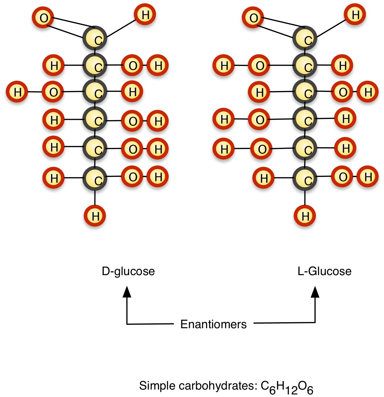 Sugar Molecules