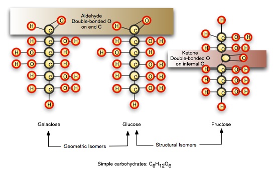 Sugar Molecules