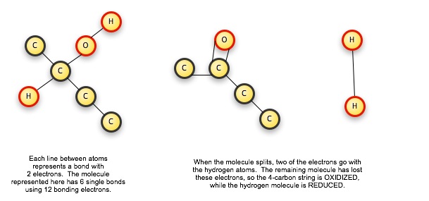 Redox Reaction