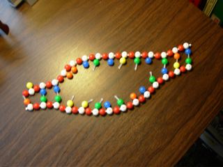 DNA Structure