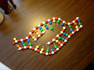 DNA Structure
