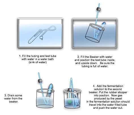 lab setup