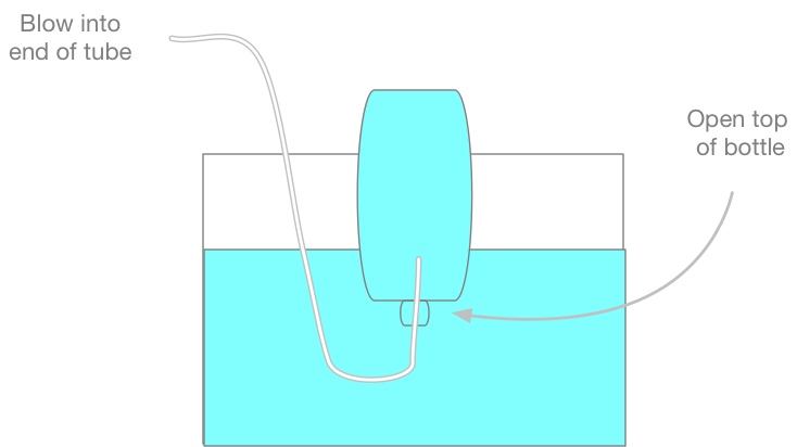 Lung Capacity