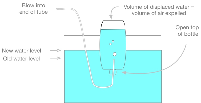 Lung Capacity