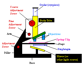 Microscope components