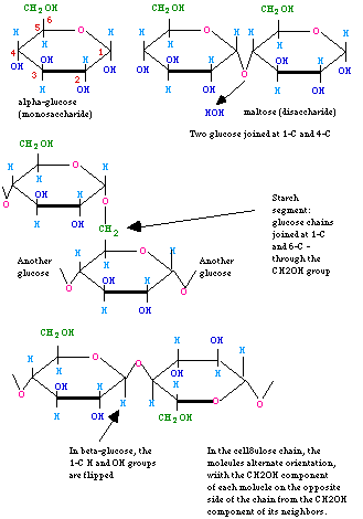 Sucrose
