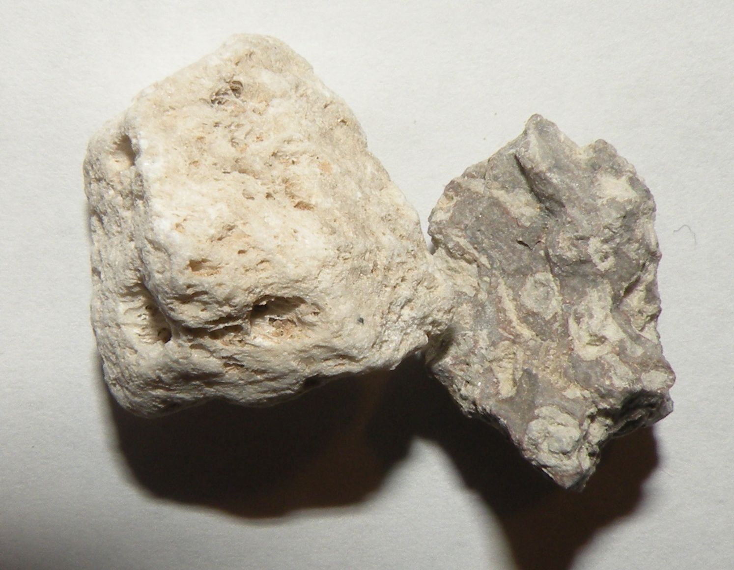 Pumice